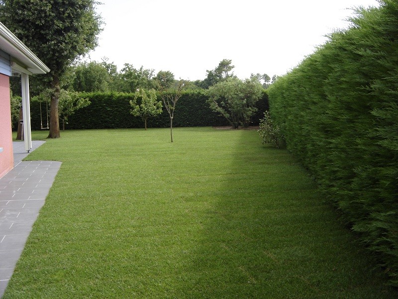 Pelouse et jardin